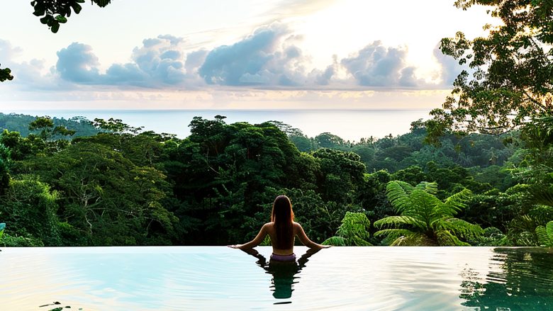 A high-angle view of a swimming pool surrounded by lush forest.