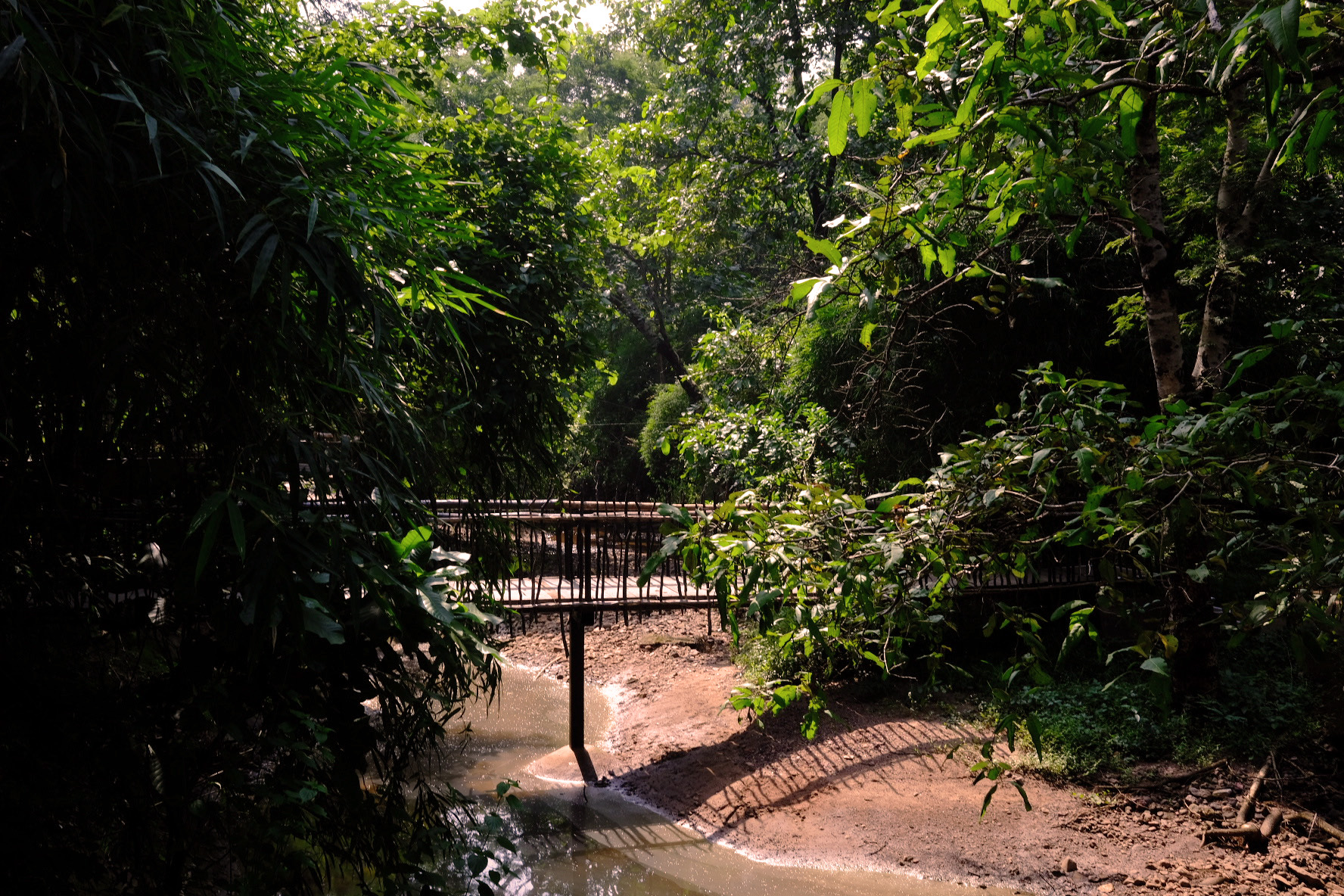 Wide shot of a river flowing through a dense green jungle.