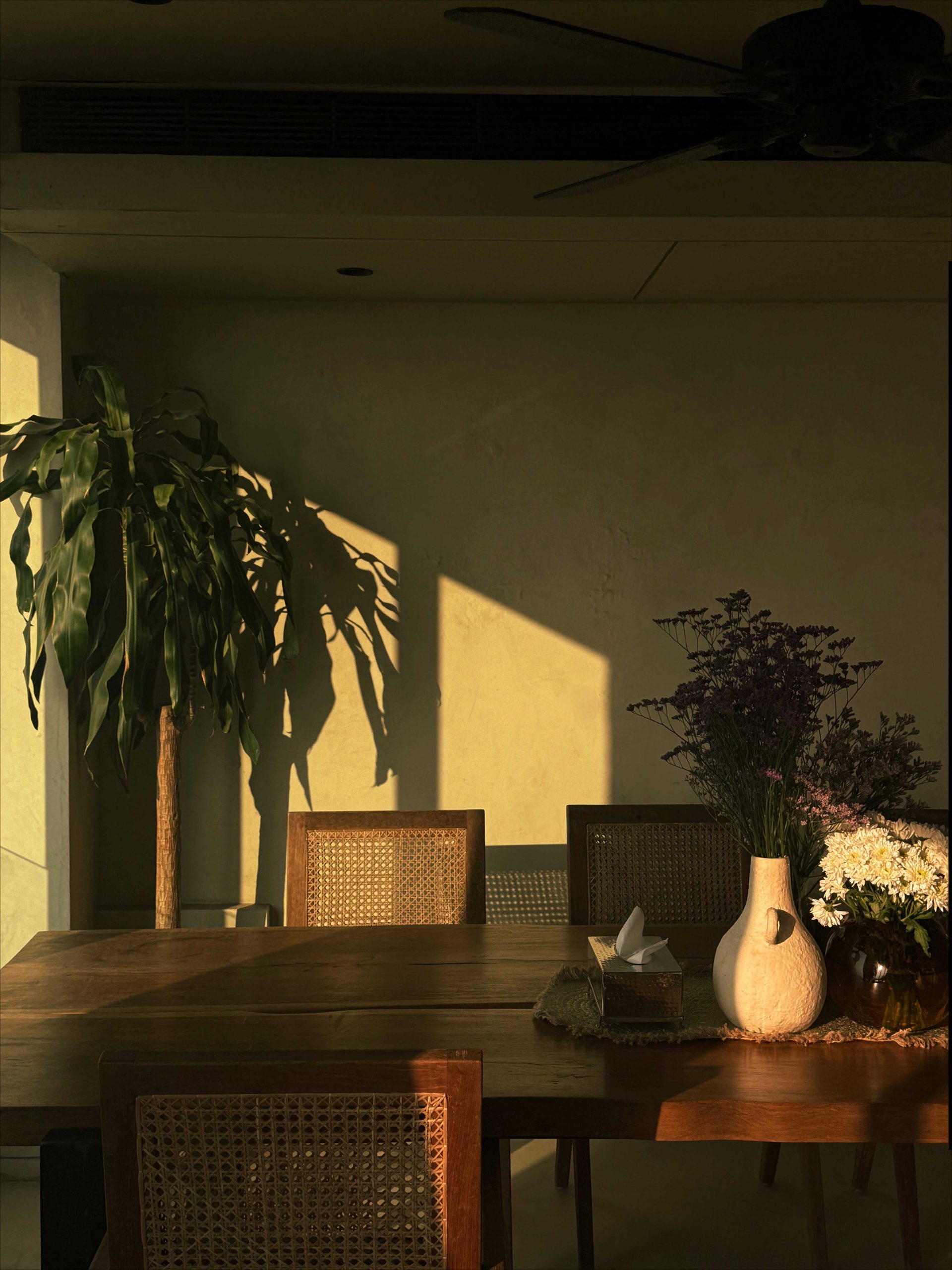 Sunlit wooden dining table with cane chairs and floral arrangement indoors