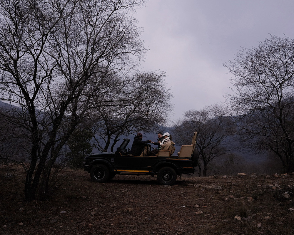 Jeep safari with guests seated outdoors in a forest landscape at dusk