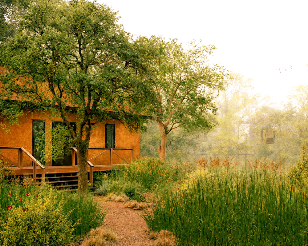 A cozy wooden cabin with a deck, partially hidden by trees and wild meadow grass.