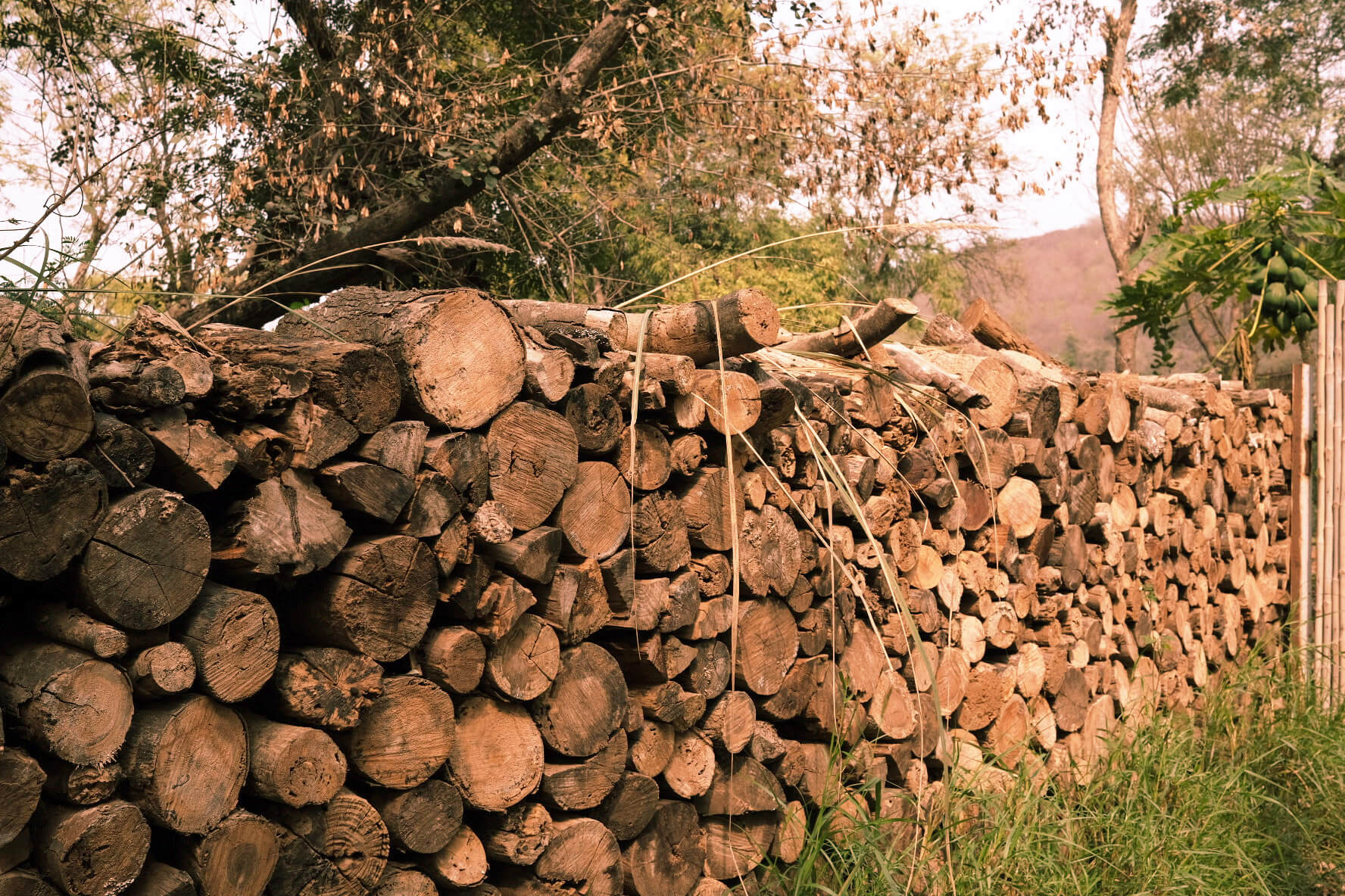 Stacked firewood logs arranged outdoors