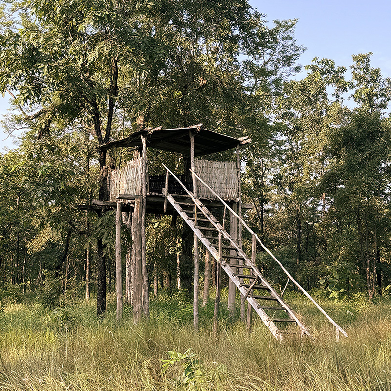 A wooden watchtower elevated on stilts in the middle of a green forest, with stairs leading up to it.