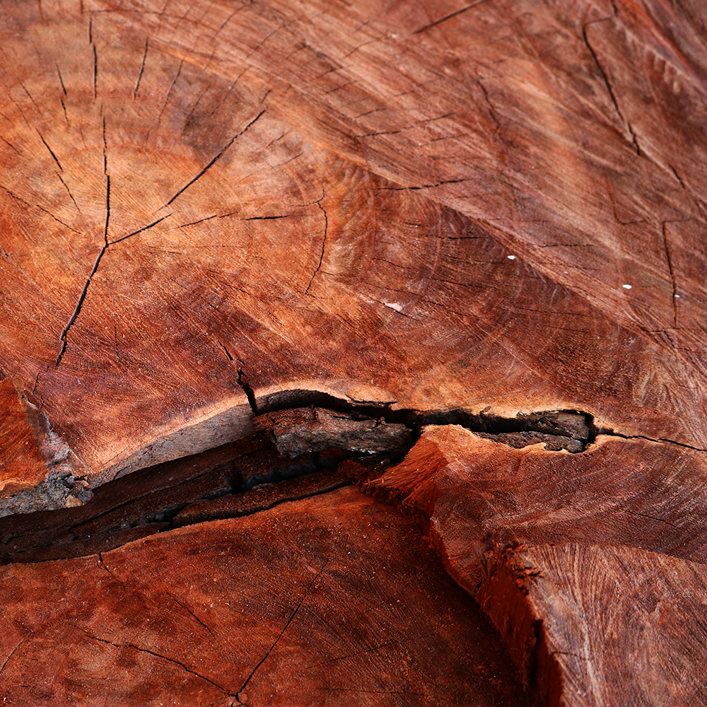 A close-up overhead view of a weathered tree stump showing rich reddish-brown wood grain and deep natural cracks.