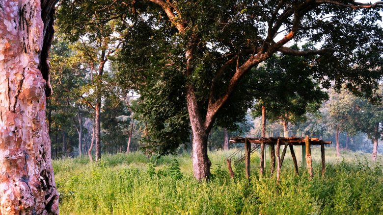 A simple wooden bench on a stone path tucked away in a quiet forest.